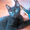 Thumbnail photo of Hermione (& Lucas) #2