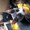 Thumbnail photo of Hermione (& Lucas) #3