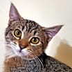 Thumbnail photo of Penny #1