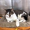 Thumbnail photo of Olivia #1