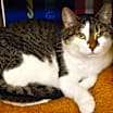 Thumbnail photo of Olivia #2