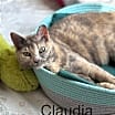 Thumbnail photo of Claudia #1