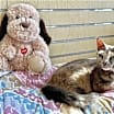 Thumbnail photo of Claudia #2