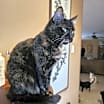 Thumbnail photo of Marbles #2