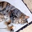 Thumbnail photo of Samantha #2