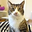 Thumbnail photo of Gwen #1