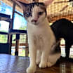 Thumbnail photo of Endora #2