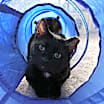 Thumbnail photo of DUSTIN-Fiv+ very sweet #1