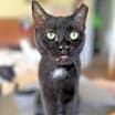 Thumbnail photo of DUSTIN-Fiv+ very sweet #2