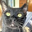 Thumbnail photo of DUSTIN-Fiv+ very sweet #4
