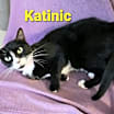 Thumbnail photo of Katinic #1