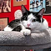 Thumbnail photo of Fleetwood Flynn #2