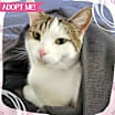 Thumbnail photo of Gub Gub #1