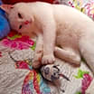Thumbnail photo of Schnee #1