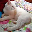 Thumbnail photo of Schnee #2