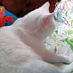 Thumbnail photo of Schnee #3