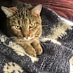 Thumbnail photo of Simon #1