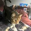 Thumbnail photo of Simon #2