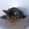 Thumbnail photo of Simon #3