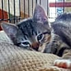 Thumbnail photo of Mabel #2