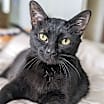 Thumbnail photo of Moxi #2
