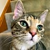 Thumbnail photo of Mirabel #1