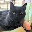 Thumbnail photo of Jack #1