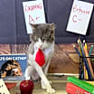 Thumbnail photo of Moose #1