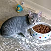 Thumbnail photo of Ben #2