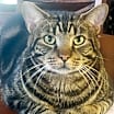 Thumbnail photo of Will #1