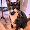 Thumbnail photo of Minnie #1