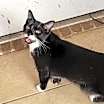 Thumbnail photo of Minnie #4