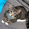 Thumbnail photo of Jackie Frost #3