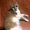 Thumbnail photo of Ms. Pierre 5.15.13 #2