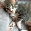 Thumbnail photo of WallE #3