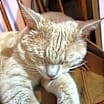 Thumbnail photo of River #2