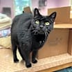 Thumbnail photo of Ms. Jingles #1