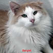 Thumbnail photo of Sergi #1