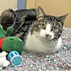 Thumbnail photo of Heather #2
