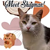 Thumbnail photo of Shayman #1