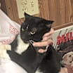 Thumbnail photo of Mac #1