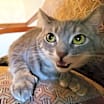 Thumbnail photo of Margo #1