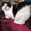 Thumbnail photo of Lena #2