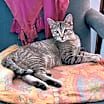 Thumbnail photo of Blake #3