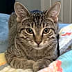 Thumbnail photo of Blake #4