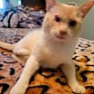 Thumbnail photo of Tanner #1