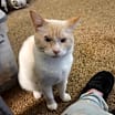 Thumbnail photo of Tanner #2