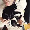 Thumbnail photo of Midnight #1