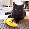 Thumbnail photo of Midnight #2