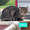Thumbnail photo of Jillian #2